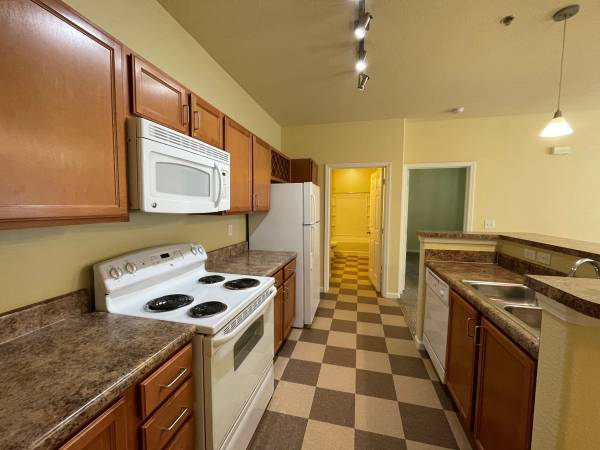 $1,249 / 1br - 802ft2 - #1411 1 bed 1 month base rent free waived app & admin fee (Asheville)64029375769859122