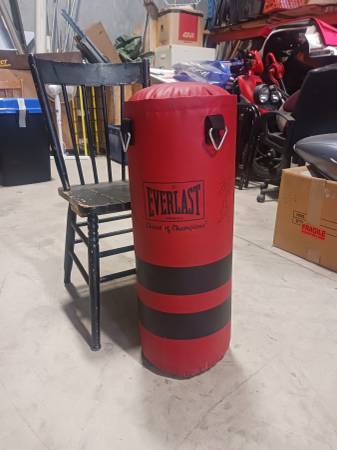 Everlast punching bag 1