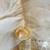 Genuine Disney Castle Collection Belle Costume size 13 9 thumbnail