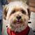 STATEN ISLAND DOG WALKING AND PET SITTING 1 thumbnail