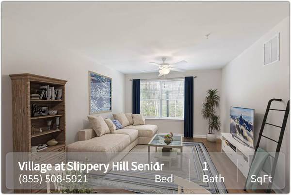 $585 / 1br - Don't let this fabulous 1 bed 1 bath apartment get away!! (Queenstown - Terrapin Nature Park)63806890308737121