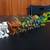 Dinosaur Minifigure Lot 6 Total 1 thumbnail