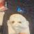 Halloween costumes 3 thumbnail