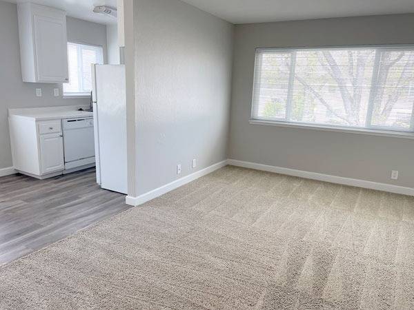 1 2 bedroom apt, Open living space, Totally Remodeled! Modern kitchen 1
