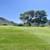 1+1 with FREE GOLF + AVAIL OCT-DEC 7 thumbnail