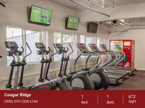 $1,040 / 1br - 672ft2 - ¡Quedan pocas mudanzas disponibles en agosto! (2024 NE Terre View Dr. Pullman, WA. 99163)63689276447619121