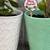 mini jade succulent tree plant in ceramic pots w/gift pick / spike 3 thumbnail