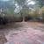 1/1 CENTRAL EAST AUSTIN 5 thumbnail