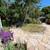 Home and Garden Sublet Oct 25-Nov 8 & Jan 7-Mar7 8 thumbnail