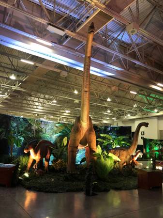 EVENT STAFF... TOURING FAMILY SHOW 1