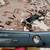 Xbox 360 Model 1439 (CONSOLE AND POWER WIRE 1 thumbnail