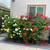 LANDSCAPER y JARDINERÍA “OASIS” 19 thumbnail