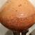 Vintage ~ 80s Signed STEPHEN POLCHERT Studio ART POTTERY 8” VASE ~ AF! 7 thumbnail