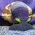 Crocheted Blue green Octopus LARGE plushie 2 thumbnail