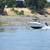 2001 Trophy 2052 21' walkaround boat 6 thumbnail