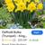I am looking for bulbs 3 thumbnail