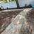 Pavers - Concrete - Pressure Washing - Paver Sealing 24 thumbnail