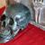 Brass Skulls & Decoration Skulls 9 thumbnail