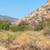 Brush Clearing / Wildfire Prep / Hazard Mitigation 2 thumbnail