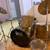 Pre-owned Pulse 5 Piece Drum Set with Cymbals and Hardware 1 thumbnail