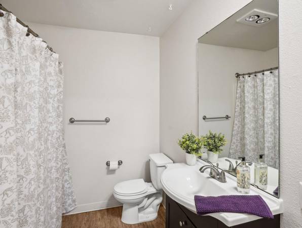 $1,495 / 2br - NOW HALF OFF for 1 MTH! 2 Bed - Milgard Windows, Plank Wood Flooring (Halsey & I-84)63867270035713124