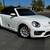 2018 Volkswagen Beetle S Convertible 2.0L Turbo 24 thumbnail