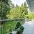 4 Bed 3 bath Home situated in 2 Acre Oasis. 24 thumbnail
