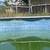 Above ground pool with brand new liner free 1 thumbnail