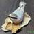 LENOX Fine Porcelain Red Breasted Nuthatch Bird Figurine Handcrafted 4 thumbnail