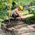 CLEANING SERVICE & LANDSCAPING 4 thumbnail