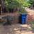 BASEMENT APT FULL KITCH-DECK-FRPL w PRIV ENTRY Avail NOW 8 thumbnail