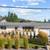 Stylish 4-Bed Home in Glenmore - Huge Yard & Carriage House Potential 1 thumbnail