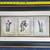 Floral Botanical Study Framed Print 1 thumbnail