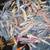 Koi Fish Clearance Sale 3 thumbnail