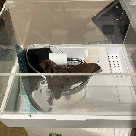 Small turtle tank (Morris)63844234806147123