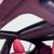 2021 Lexus IS  IS 350 F SPORT Sedan 19 thumbnail