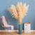 Five new large dry pampas grass beige color and one tall glass vase 1 thumbnail