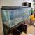 226 gallon fistank and fuval canister 1 thumbnail