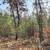 10 Wooded Acres Near Wisconsin Dells 6 thumbnail