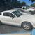 Basic 2009-2010 Mustang 2 thumbnail