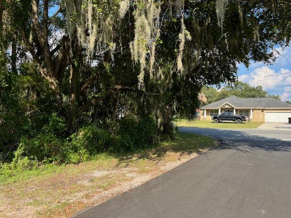 $29,700 Large Corner Lot in Prime Location 2 Homesites possible! No Flood Zone (Inverness)63980539630850123