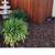 I have redwood,tongue and groove, nice fence boards again, $4.50 each 8 thumbnail