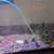 10 gallon fish tank setup 1 thumbnail