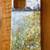 iPhone 12 Pro MAX Casely Cases 7 thumbnail
