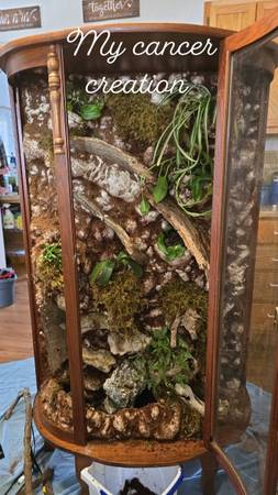 Vivarium (Holden)63280524252931120