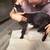 La Mancha buckling 3 thumbnail