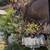 Duplex Opportunity – 2 Units on One Lot in Los Angeles! 17 thumbnail