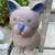 A cat & a dog garden statues 6 thumbnail