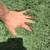 Repurposed Artificial Grass / Used Turf for Sale – $0.59/sqft 2 thumbnail