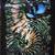 "Beginnings Ends and Moon Flowers" Art Collages Debbie Sall 12 thumbnail